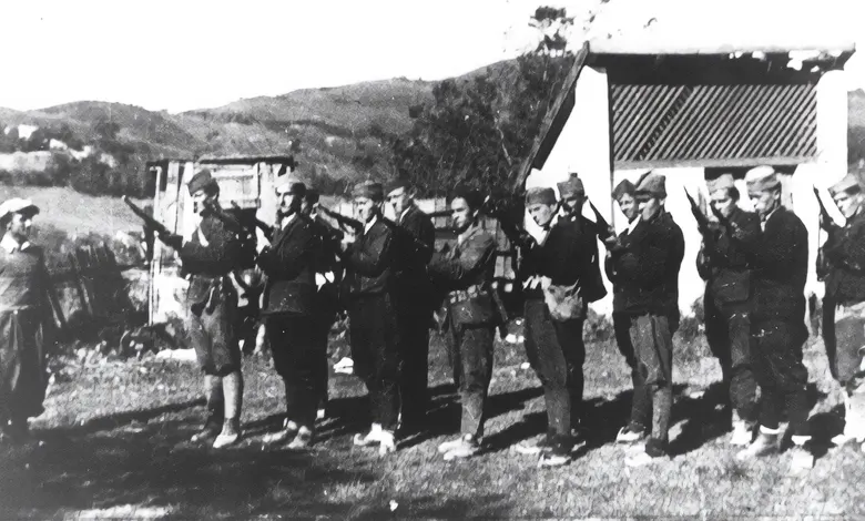 Čačak Partisan Detachment, 1941