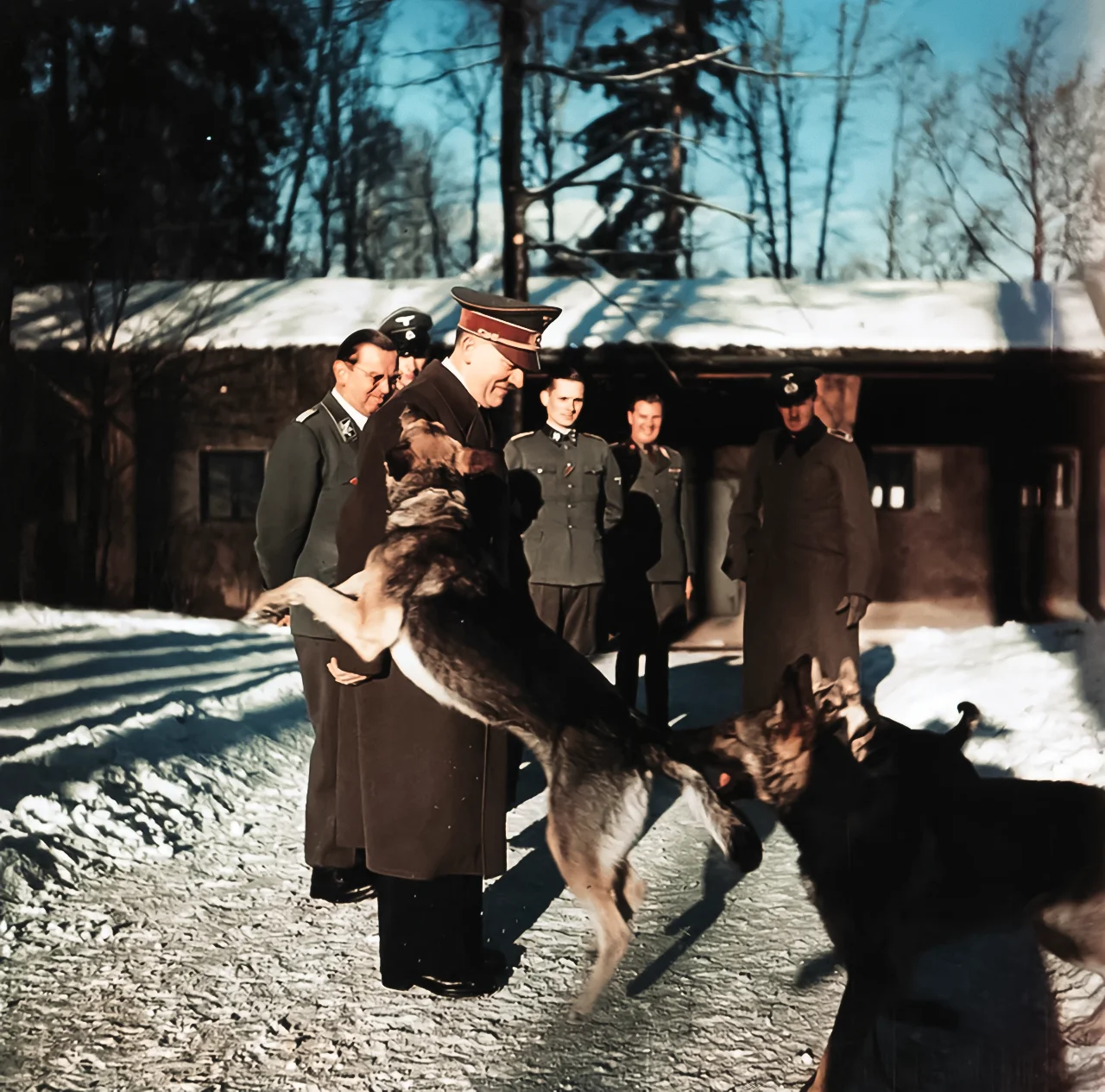 Adolf Hitler and German officers walking their dogs at Wolf's Lair headquarters, 1943