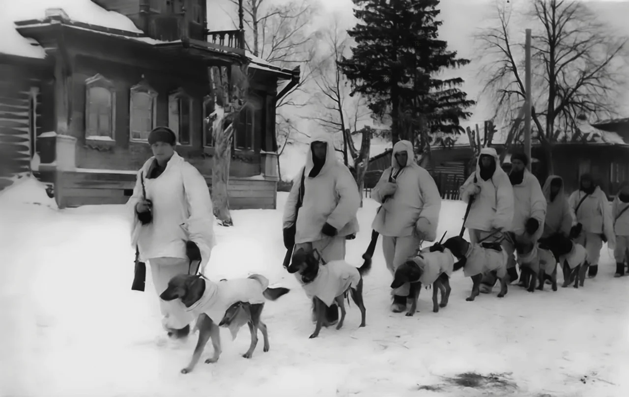Soviet soldiers with explosives-laden Anti-Tank Dogs, Battle of Moscow, 1941 